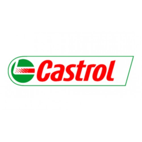 CASTROL Enduron 10W-40 208L