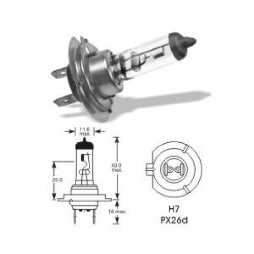 Halogén.žiarovka  H7 12V 55W Teslight